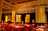 Venue Environmental Design